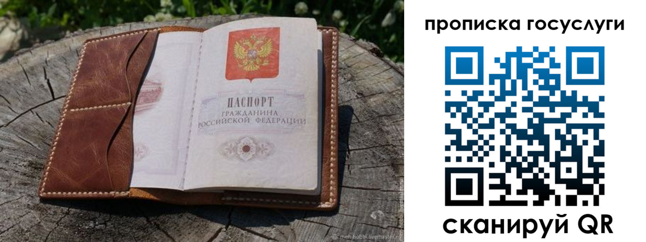 прописка для школы в Пушкино